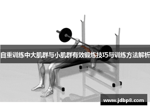 自重训练中大肌群与小肌群有效锻炼技巧与训练方法解析